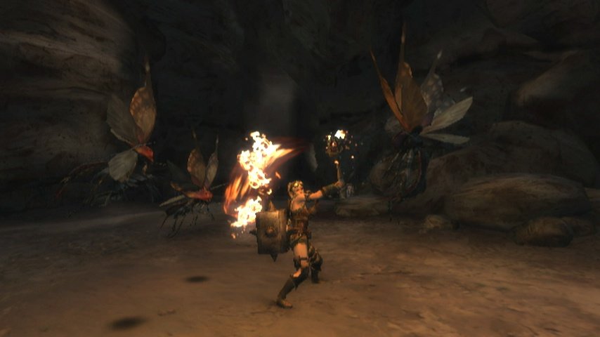 Monster Hunter Tri — скриншот 1