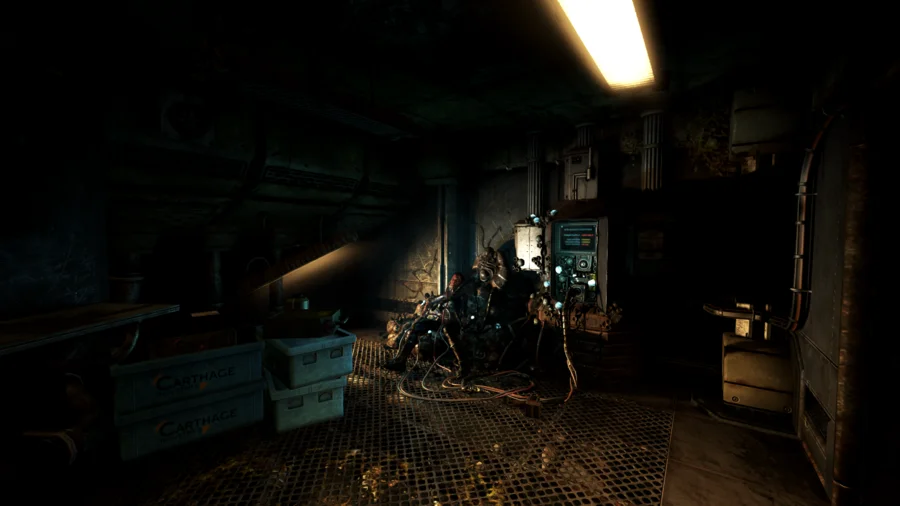 SOMA - кадр 14