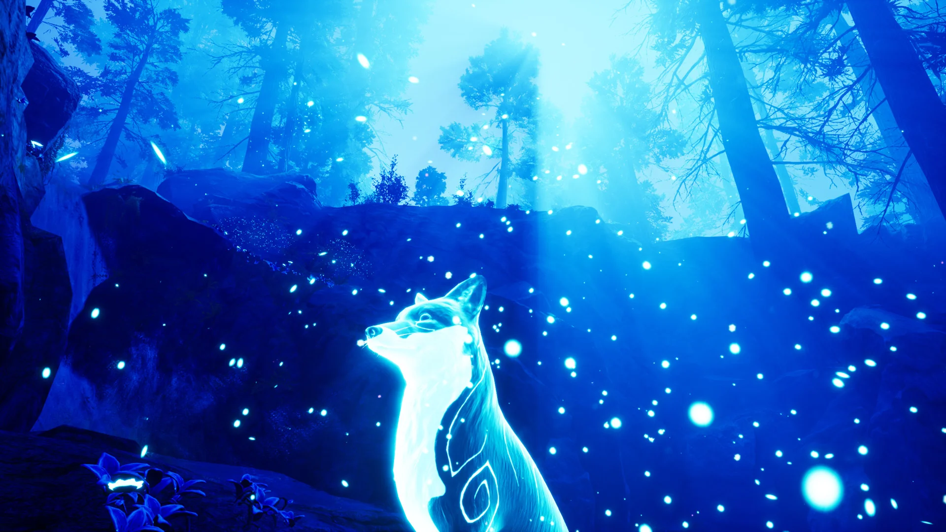 Spirit of the North - кадр 11