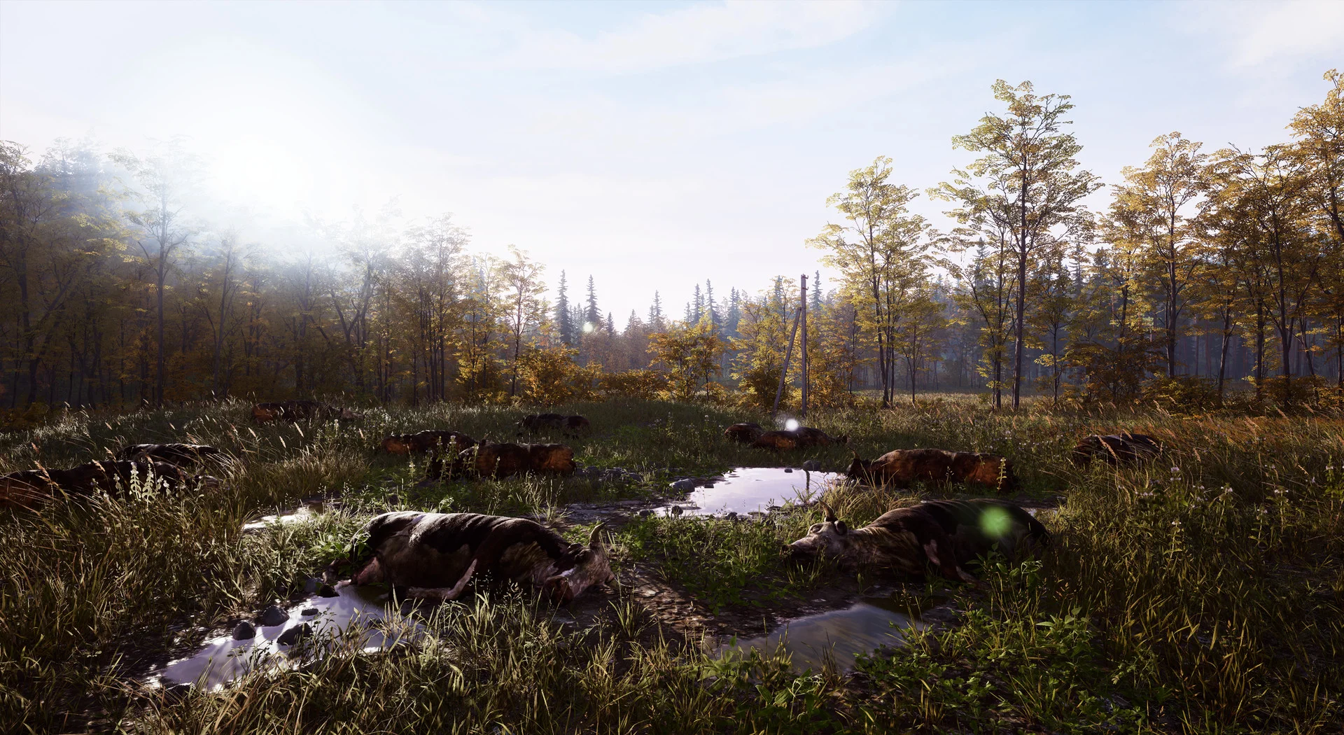 Deadside - кадр 2