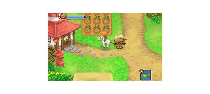 Harvest Moon: The Tale of Two Towns — скриншот 1