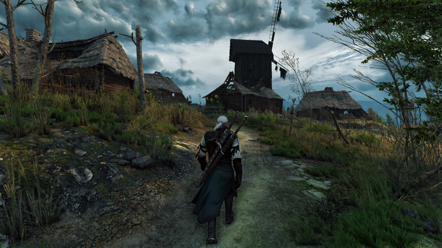 The Witcher 3: Wild Hunt — скриншот 7