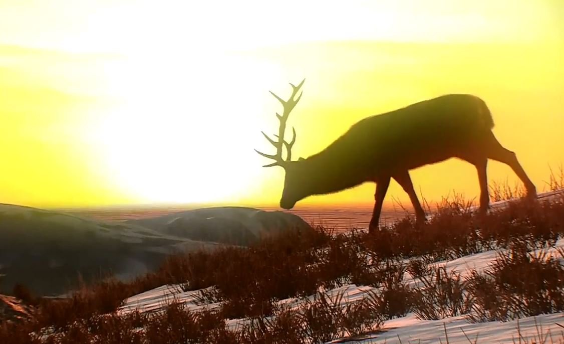 Cabela's Big Game Hunter: Pro Hunts — скриншот 2