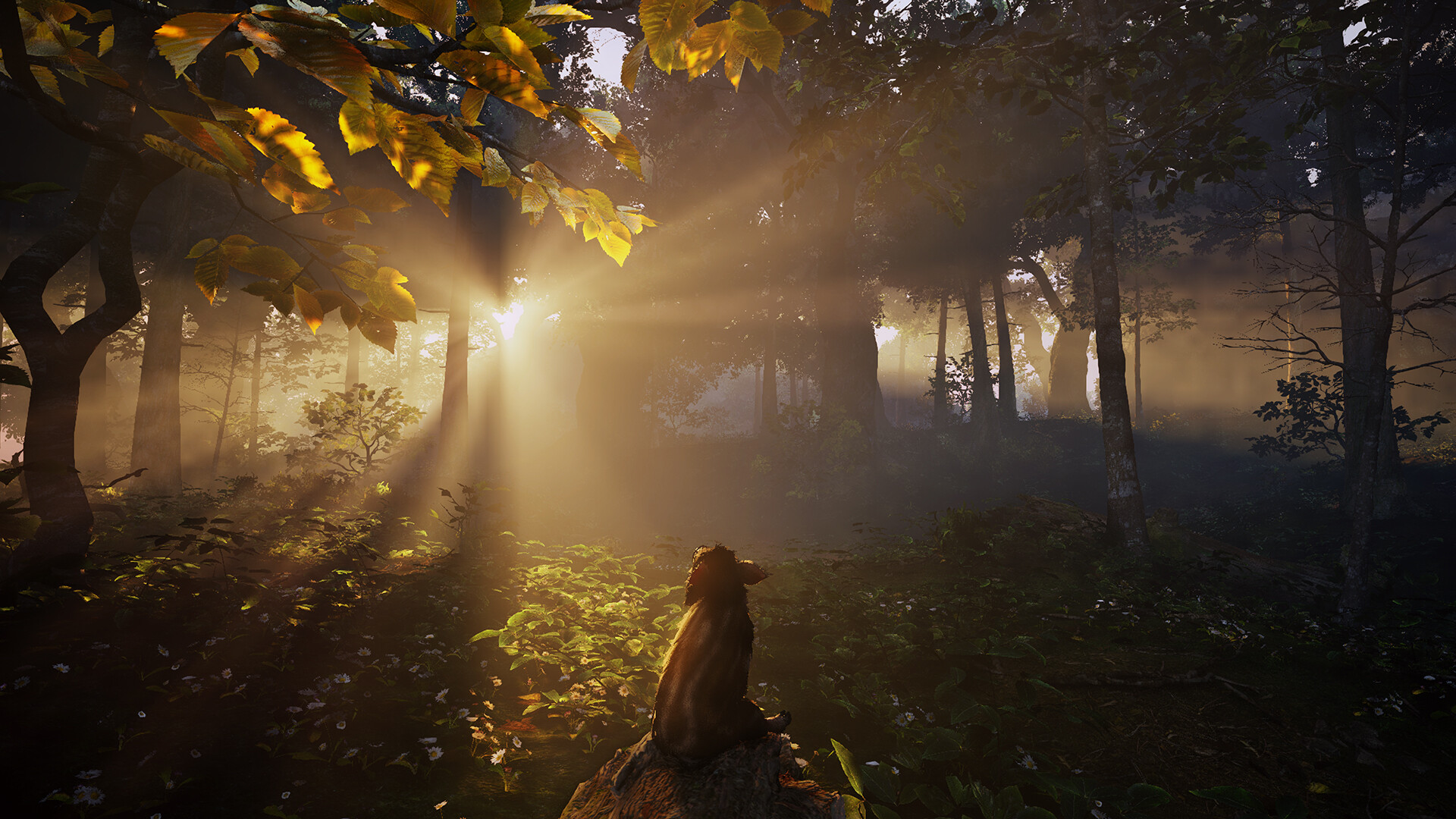 Adorable Adventures — скриншот 5