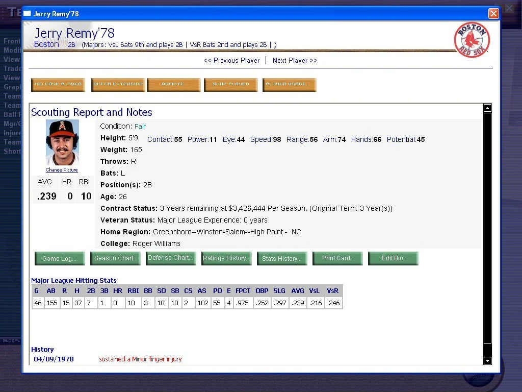 PureSim Baseball 2004 - кадр 9