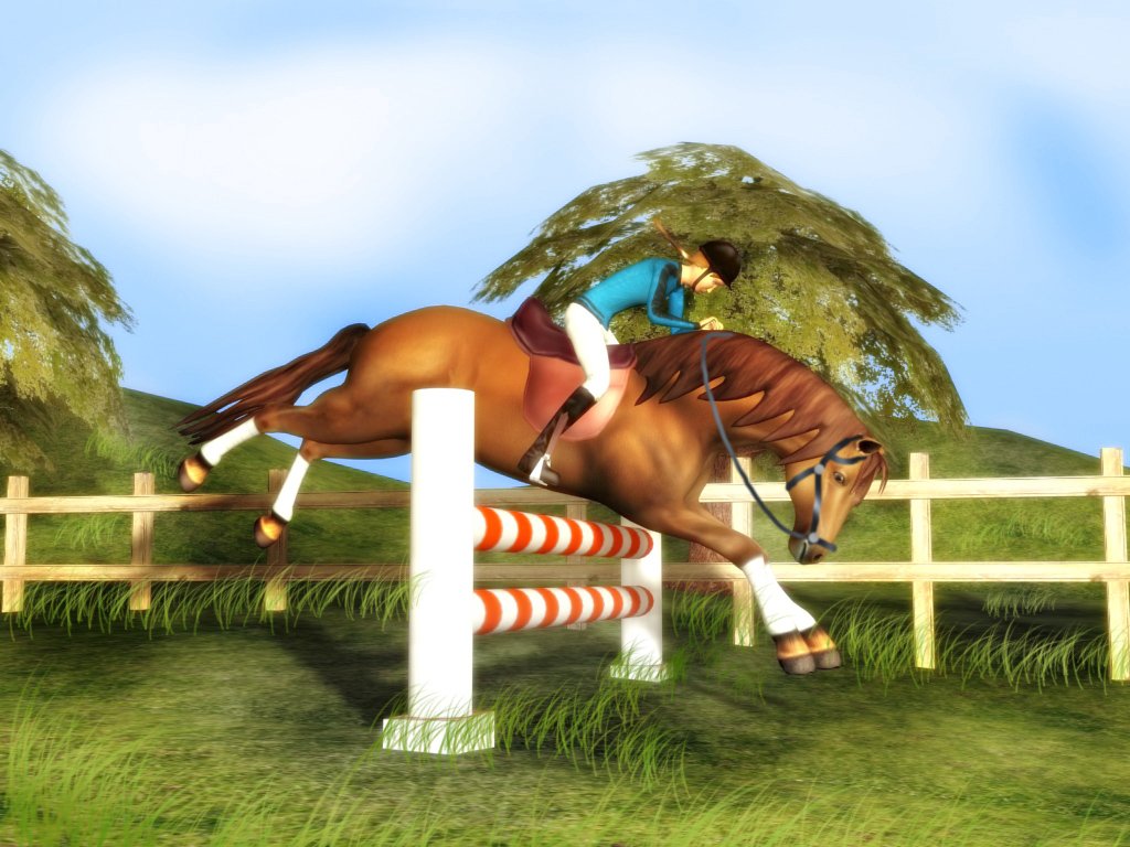 Rider's World Competition — скриншот 5