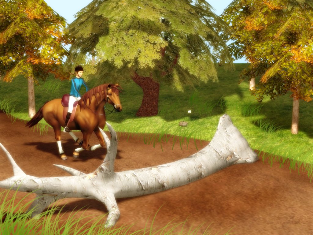 Rider's World Competition — скриншот 1