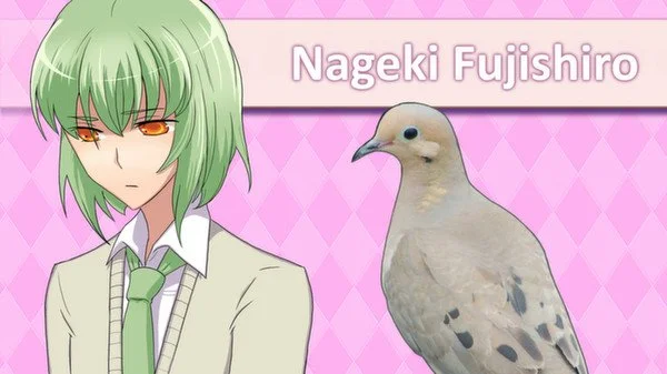 Hatoful Boyfriend - кадр 5