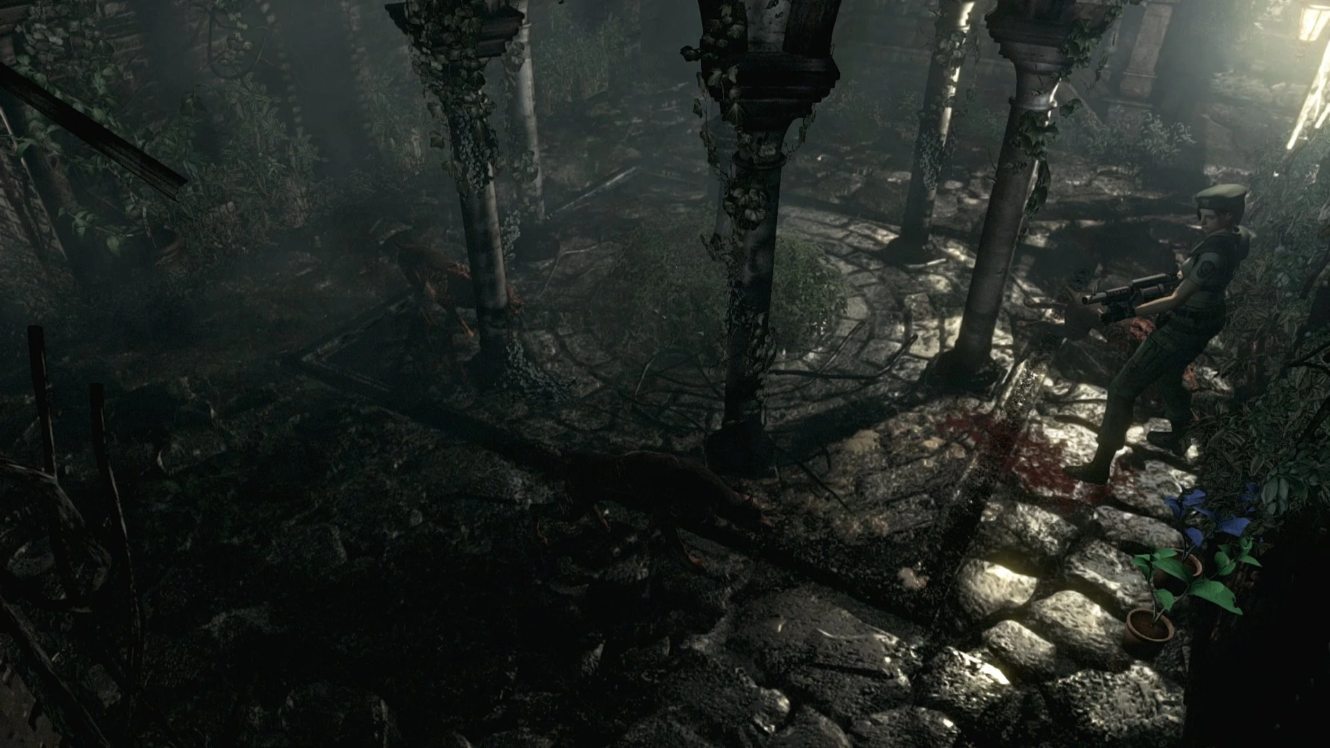 Resident Evil HD Remaster - кадр 11