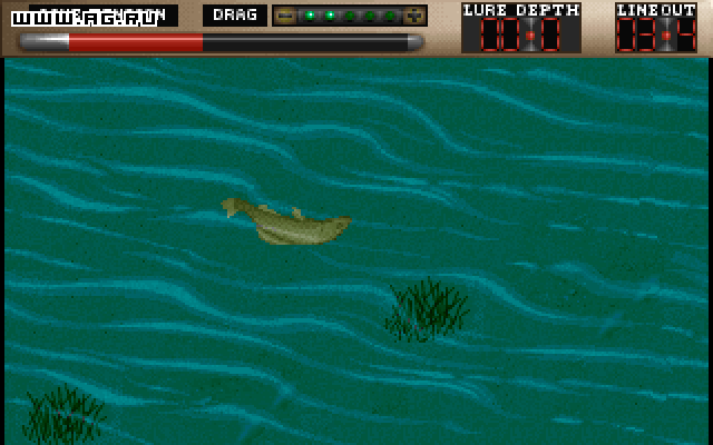 TNN Outdoors Bass Tournament '96 — скриншот 1