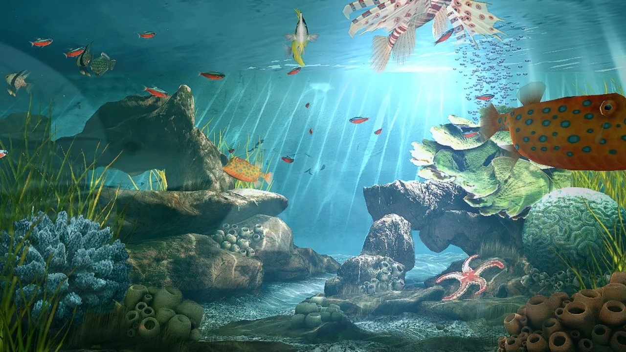 Aquatopia - кадр 7