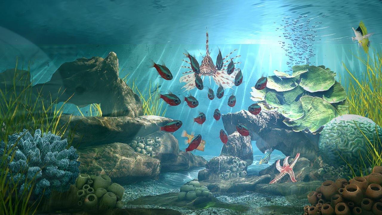 Aquatopia — скриншот 4