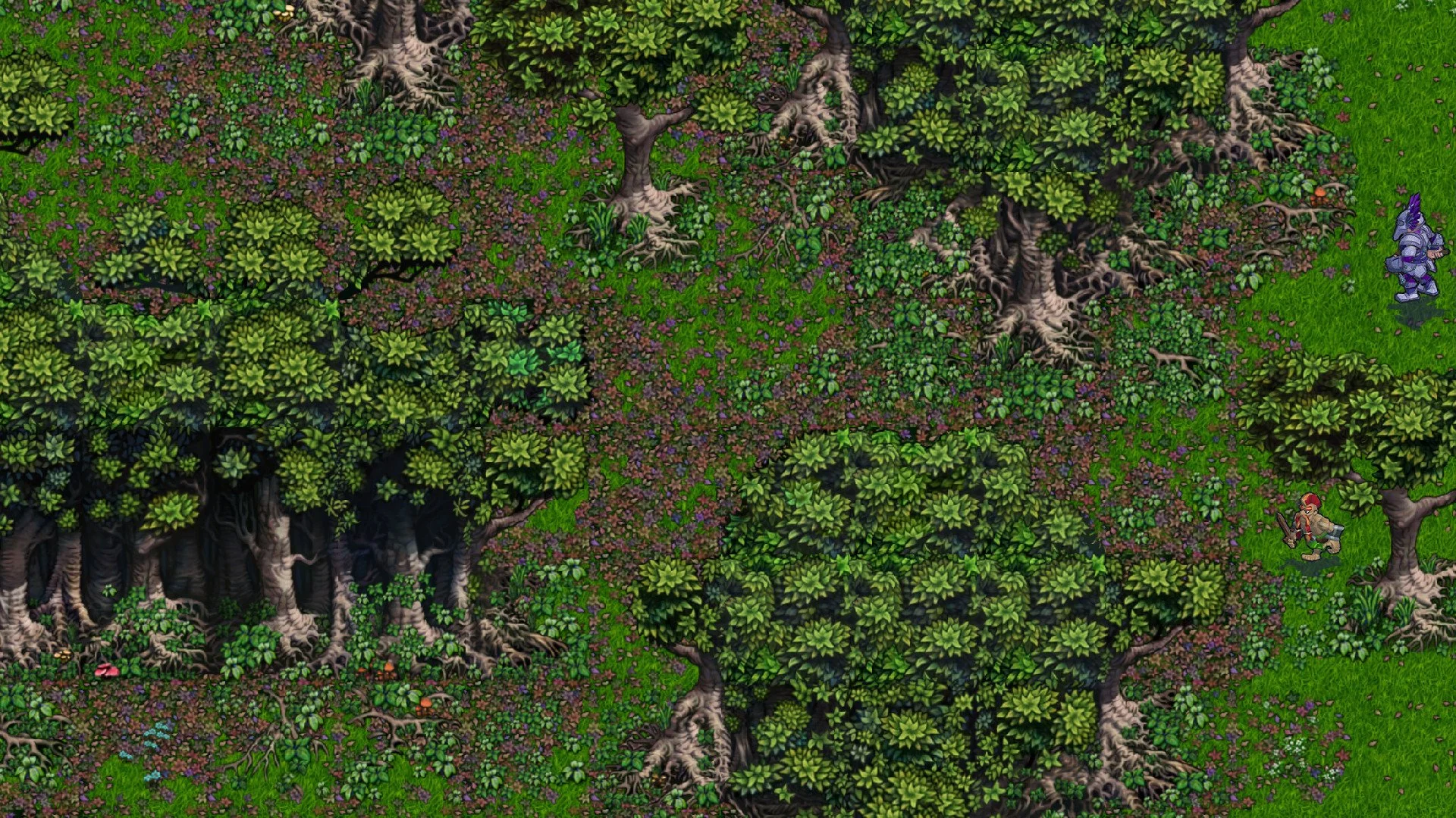 Hero's Song - кадр 2