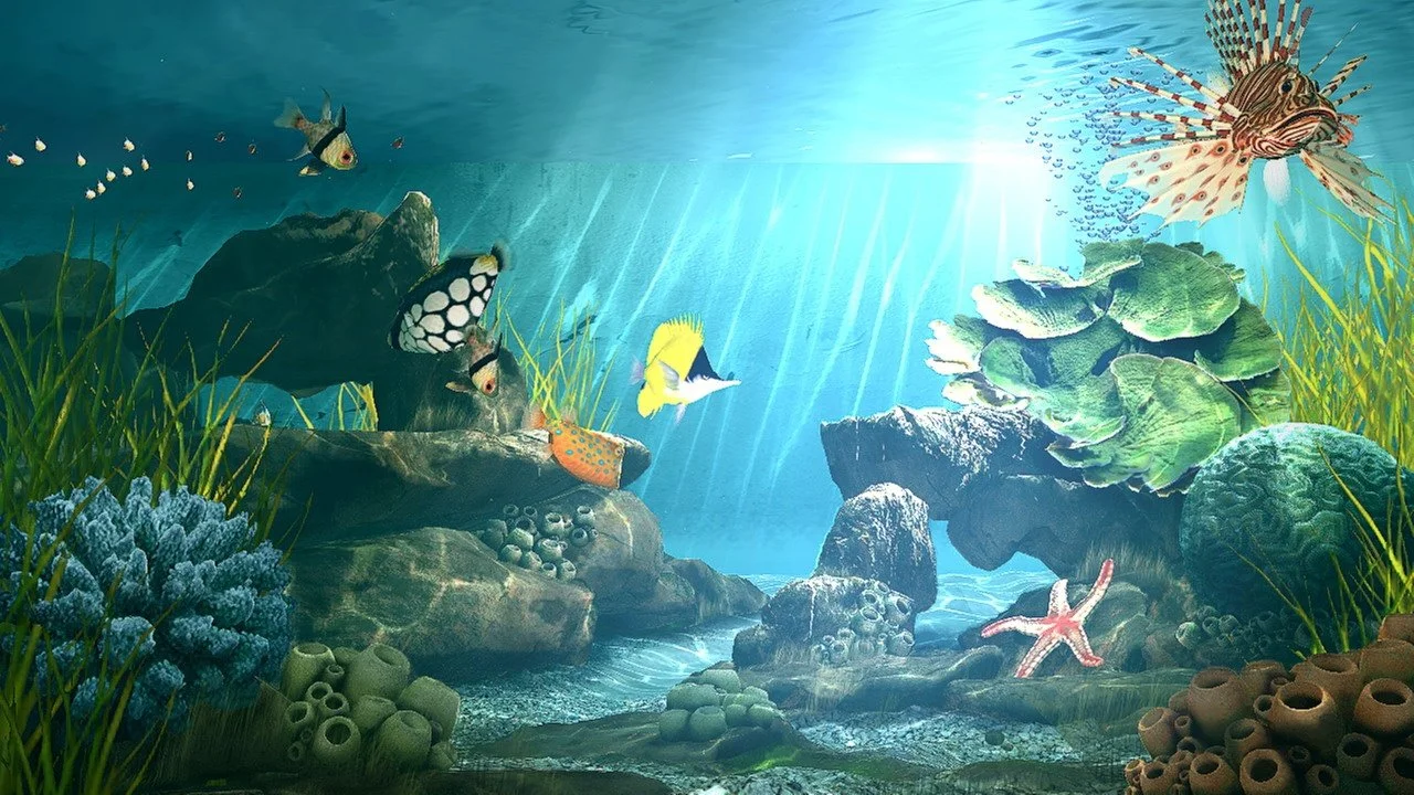 Aquatopia - кадр 5