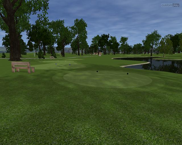 Customplay Golf — скриншот 6