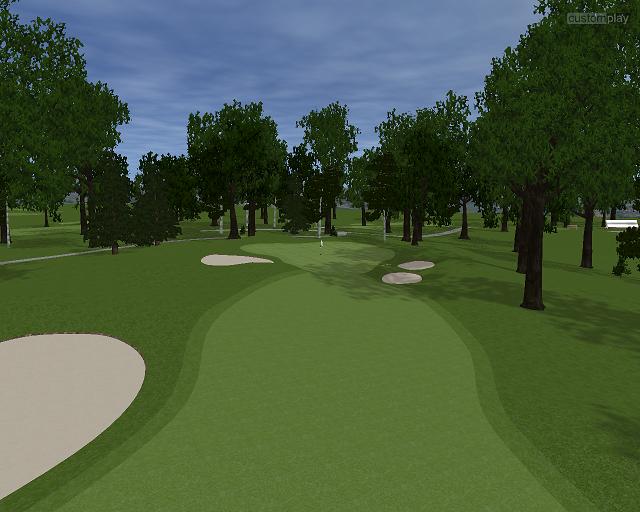 Customplay Golf — скриншот 1