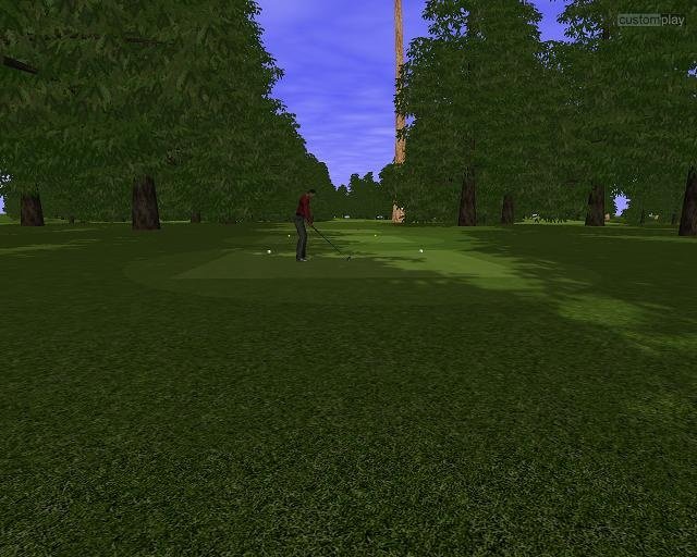 Customplay Golf — скриншот 2
