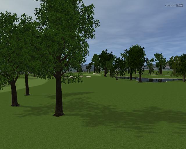 Customplay Golf — скриншот 5