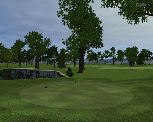 Customplay Golf — скриншот 3