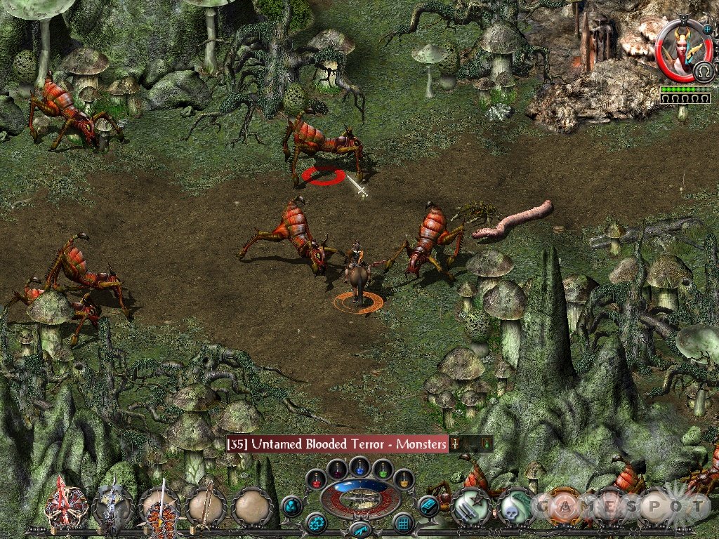 Sacred Gold Edition — скриншот 2