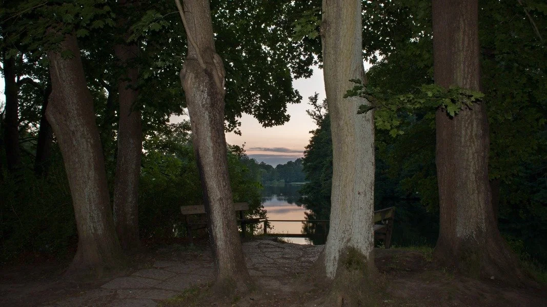 Shades of Black - кадр 7