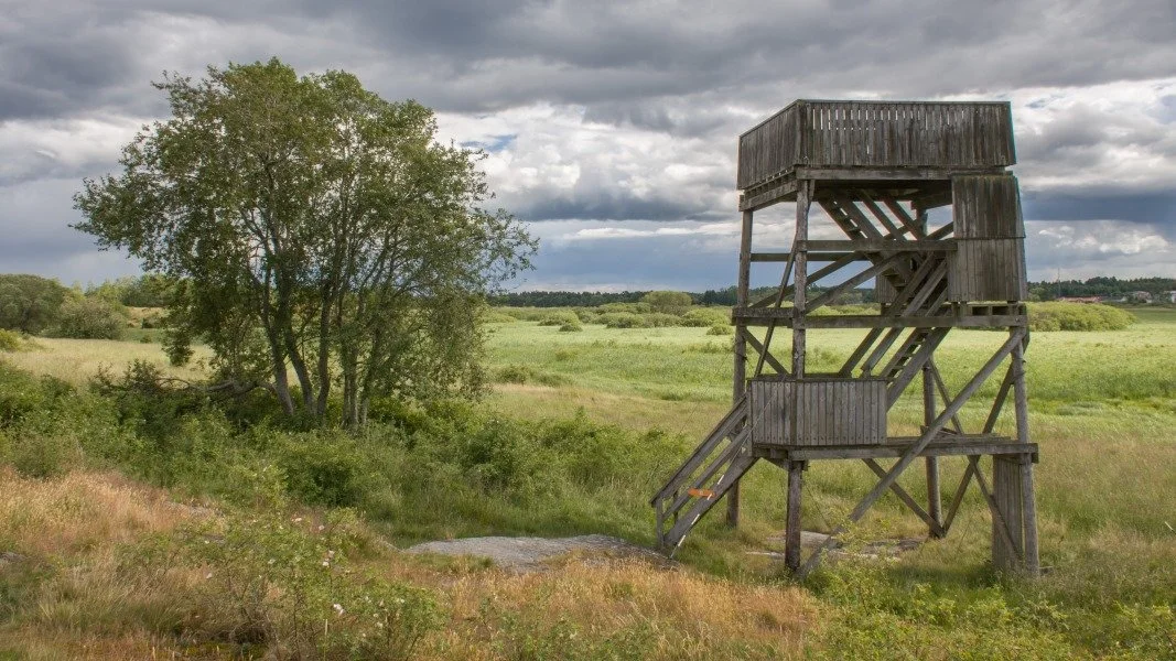 Shades of Black - кадр 16