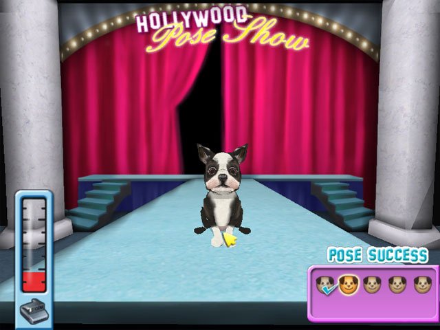 Hollywood Pets — скриншот 2