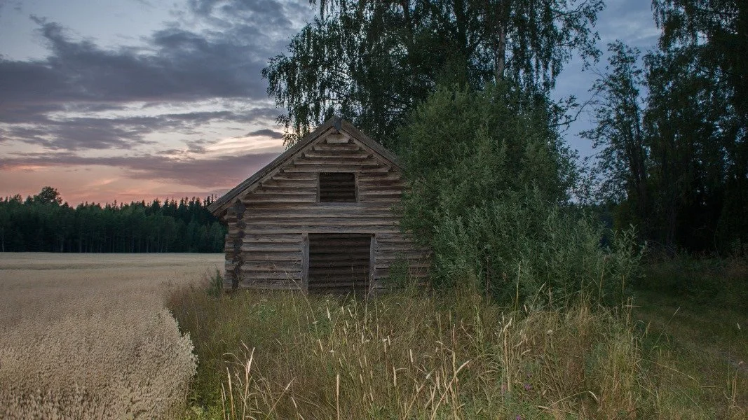 Shades of Black - кадр 15