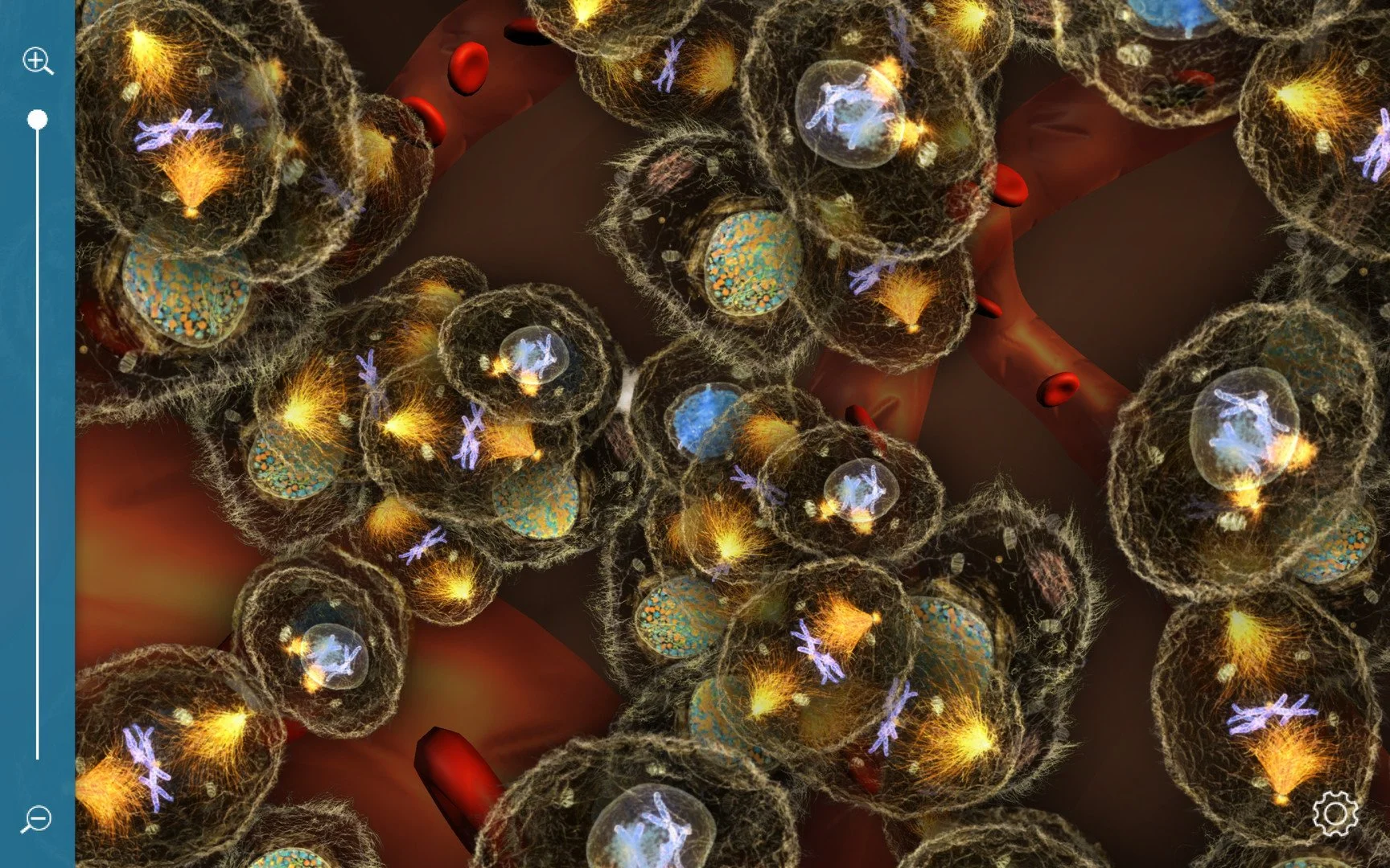 C O S M - кадр 1