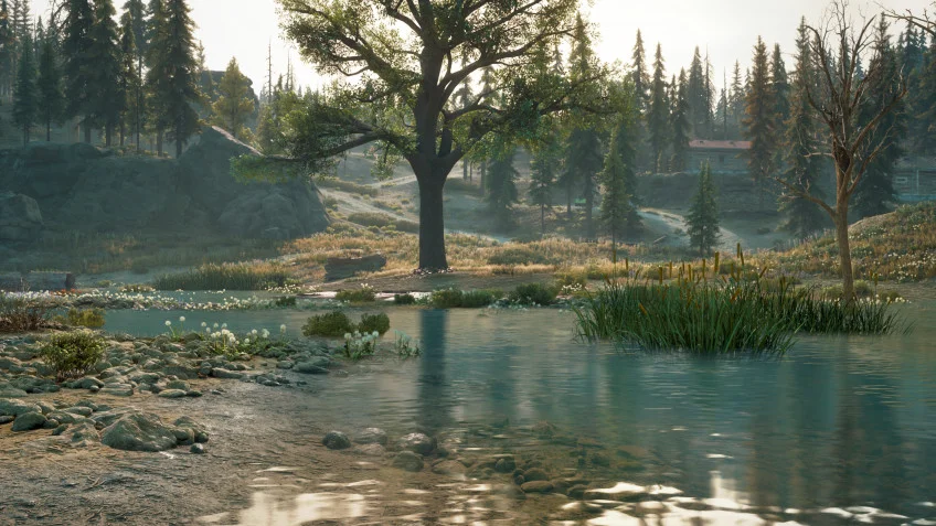 Days Gone - кадр 9