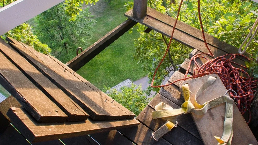 Shades of Black - кадр 11