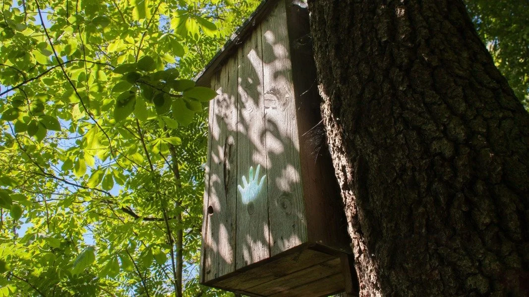 Shades of Black - кадр 17