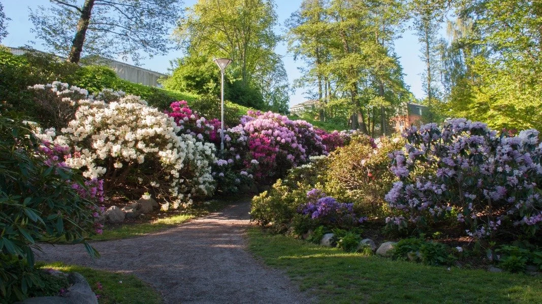 Shades of Black - кадр 2