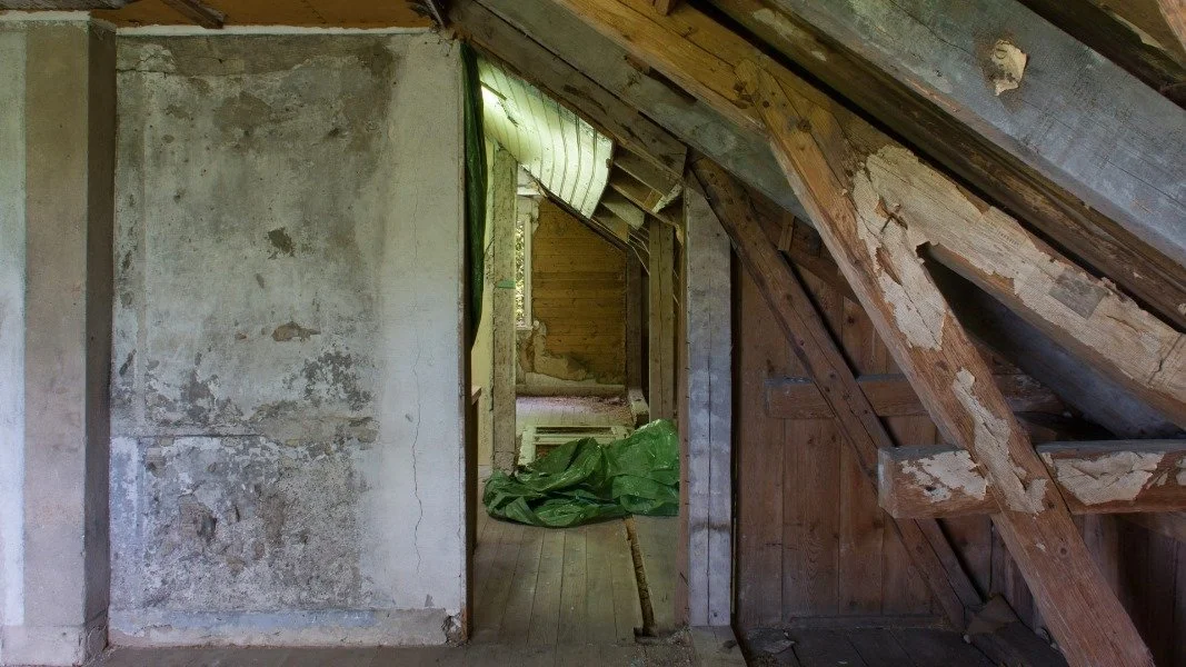 Shades of Black - кадр 8