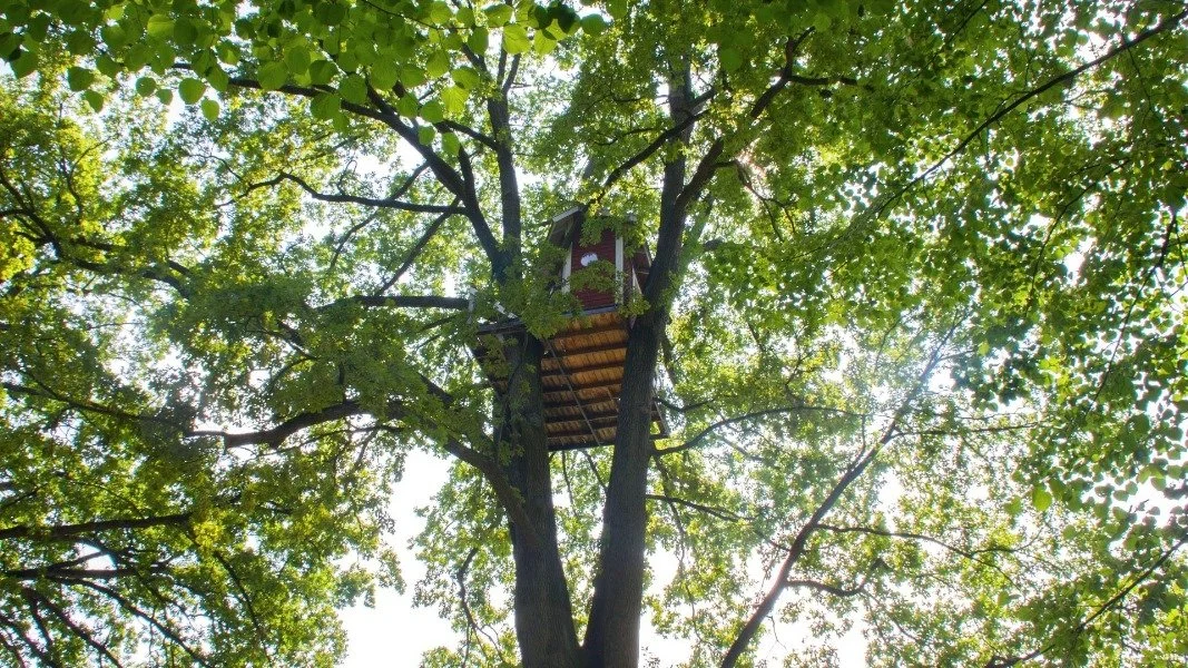 Shades of Black - кадр 3