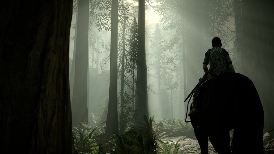 Shadow of the Colossus (2018) — скриншот 7