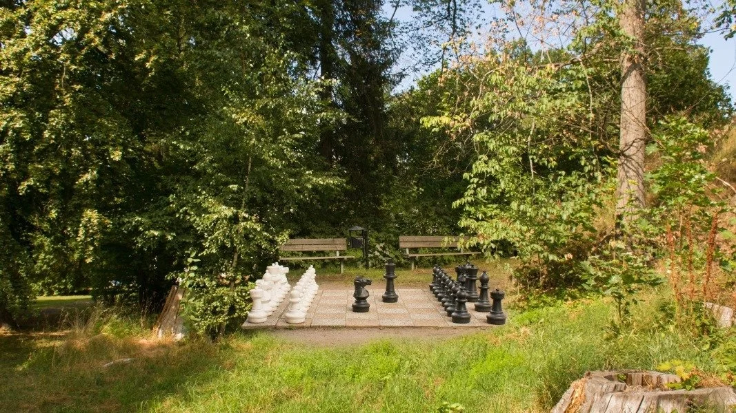 Shades of Black - кадр 1