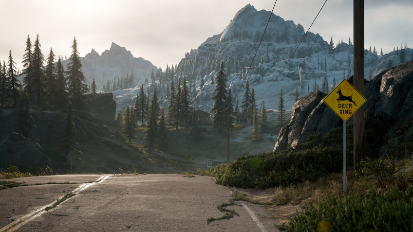 Days Gone — скриншот 5
