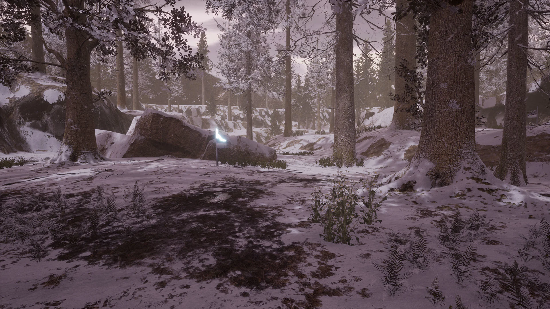 Little Brother Jim - кадр 4