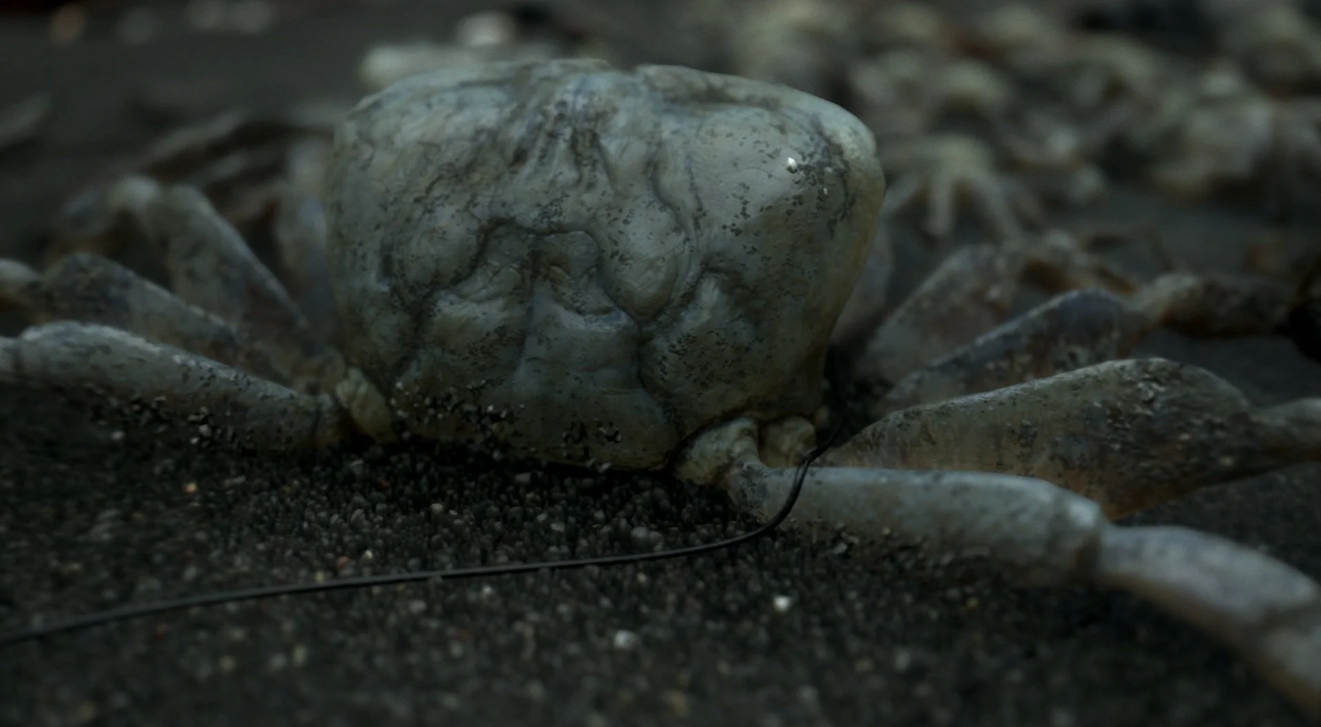 Death Stranding - кадр 14