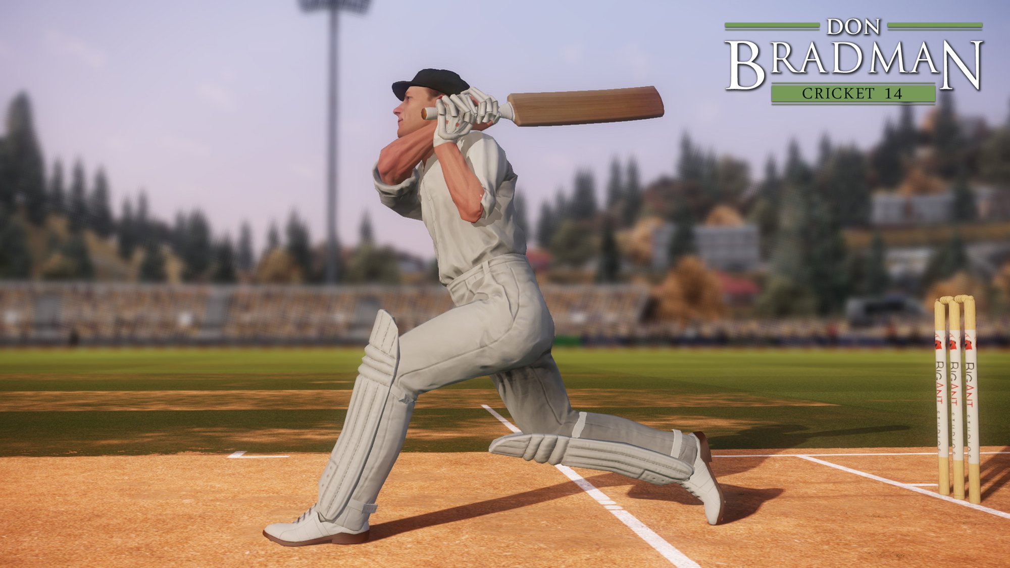 Don Bradman Cricket 14 — скриншот 1