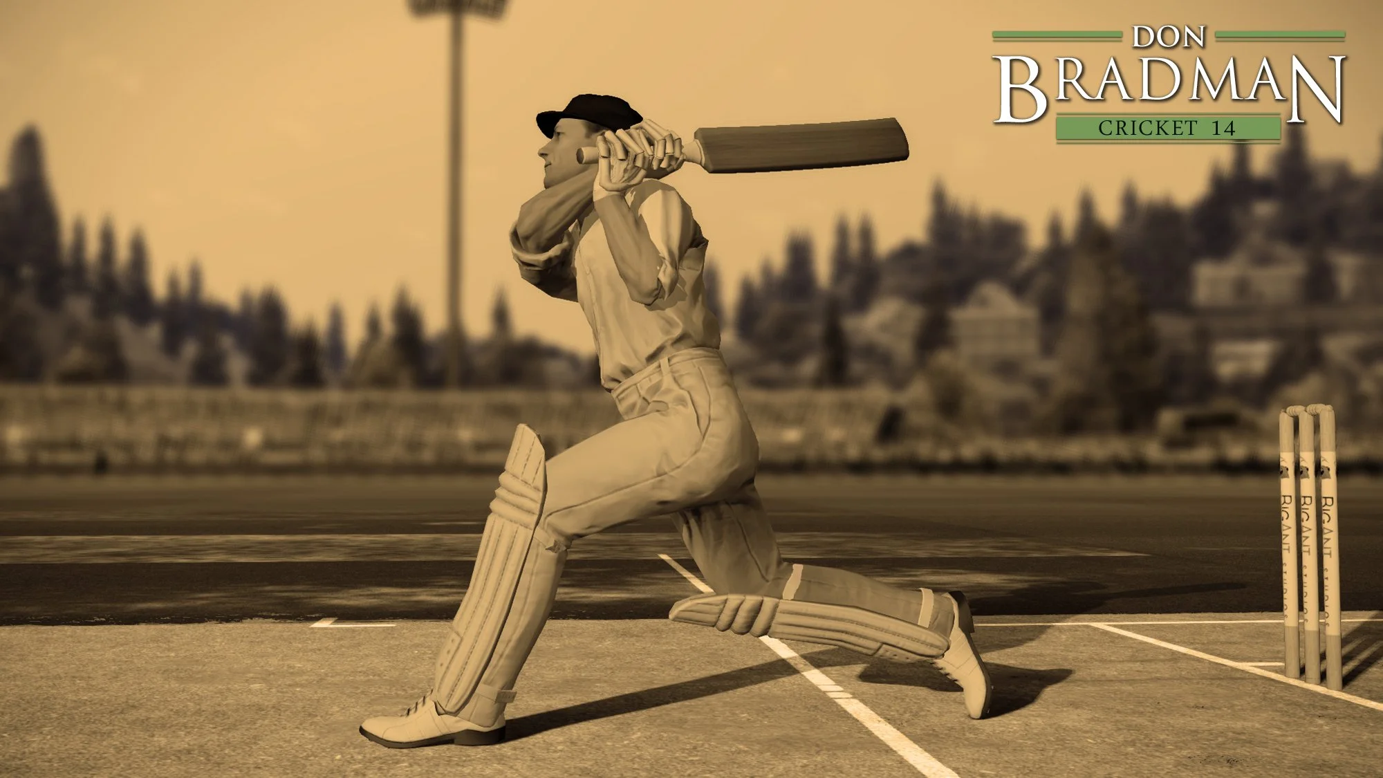 Don Bradman Cricket 14 - кадр 4