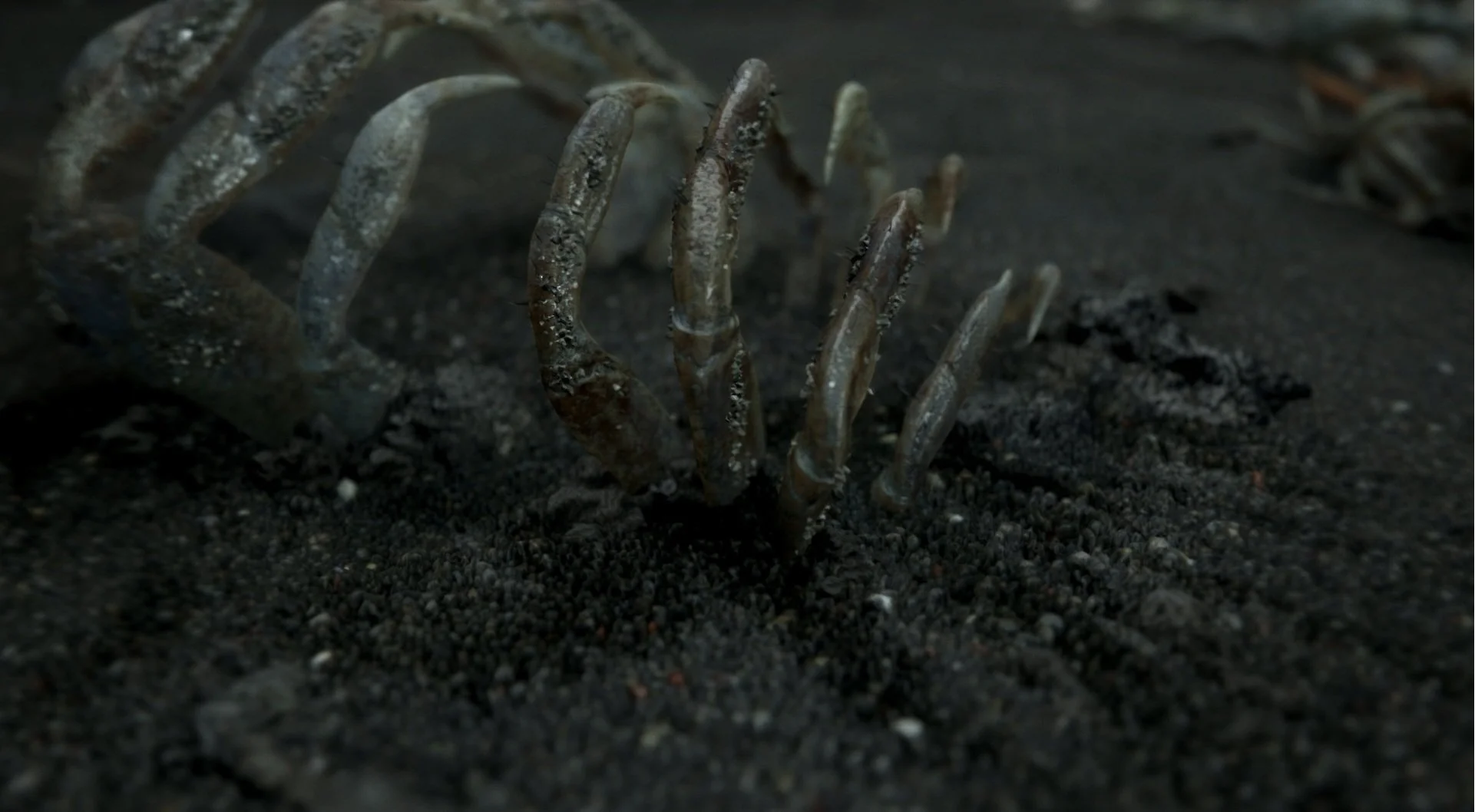 Death Stranding - кадр 11