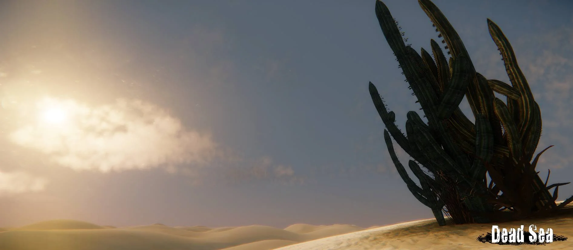 Dead Sea - кадр 5