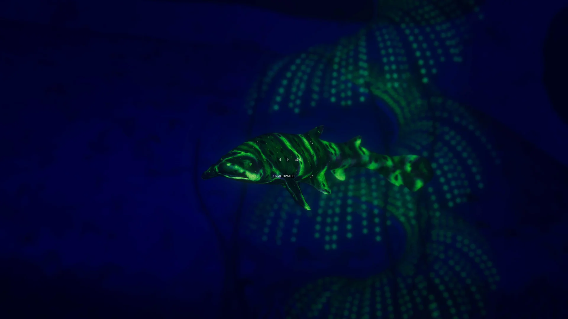 Beyond Blue - кадр 4