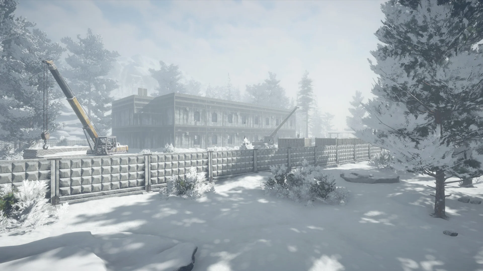 Northern Lights - кадр 5