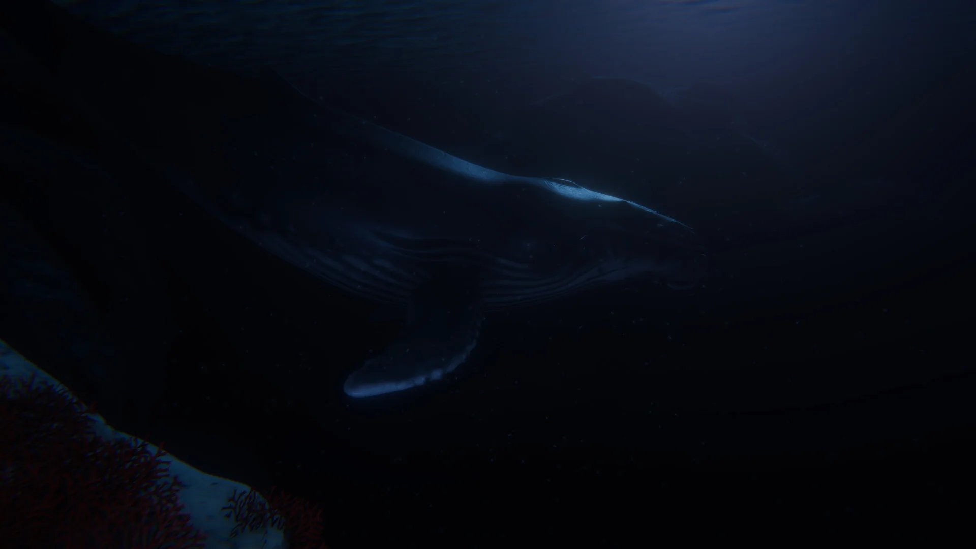 Beyond Blue - кадр 7