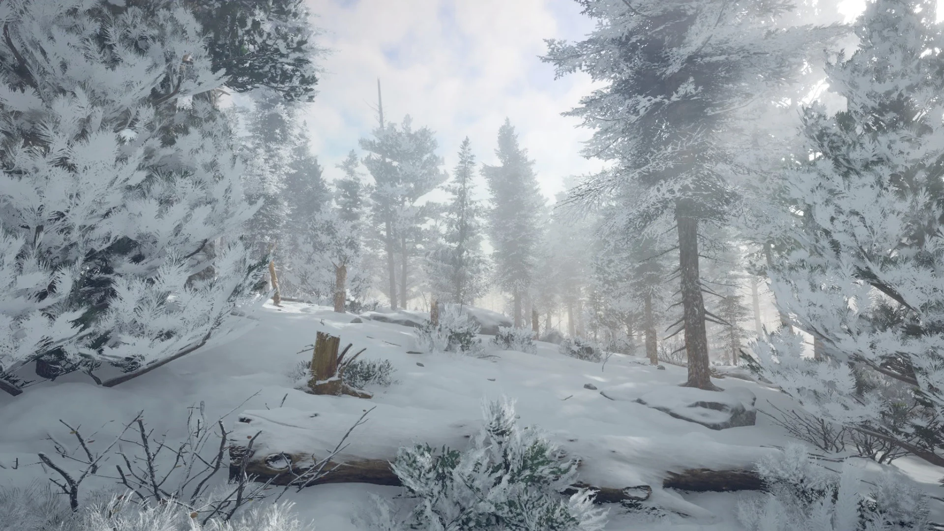 Northern Lights - кадр 7