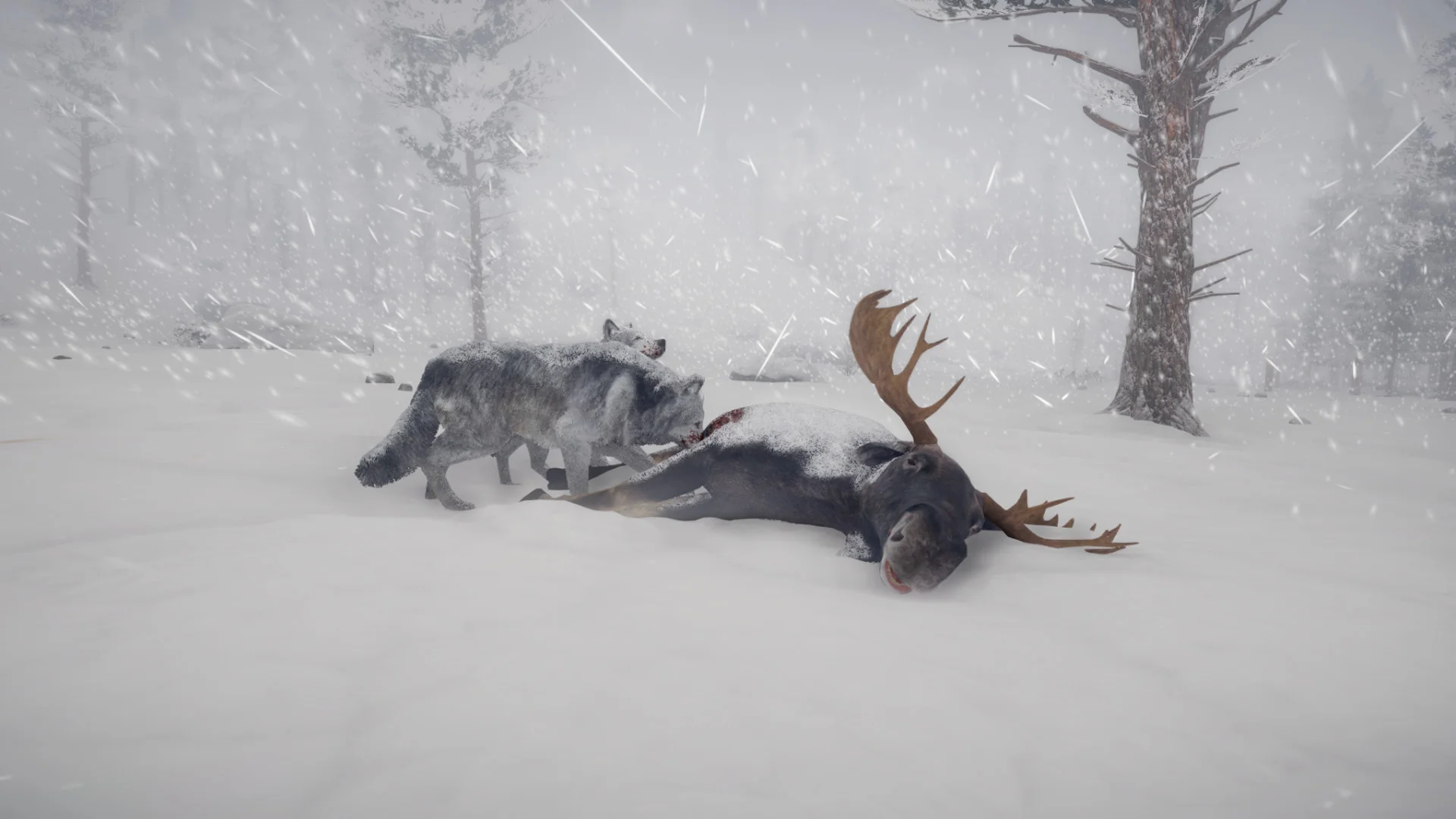 Northern Lights - кадр 4