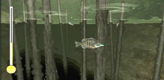 Reel Fishing: The Great Outdoors — скриншот 5
